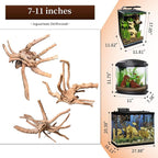 majoywoo Natural Driftwood for Aquarium Decor Fish Tank Decorations, Reptile - Image 2