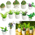 Chuangdi 12 Pieces Miniature Dollhouse Plant Flowers Mini Potted Plant by Chuangdi