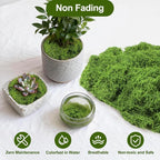 Fake Moss 10.6 oz, Artificial Moss - Image 5