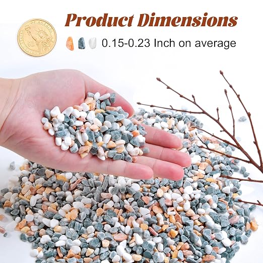 10 lb Mixed Color Pebbles for Plants, 1/5 Inch Decorative Rocks for Potted - Image 2