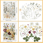 Nuanchu 200 Pcs Pressed Flowers Bulk Dried Flower - Image 3