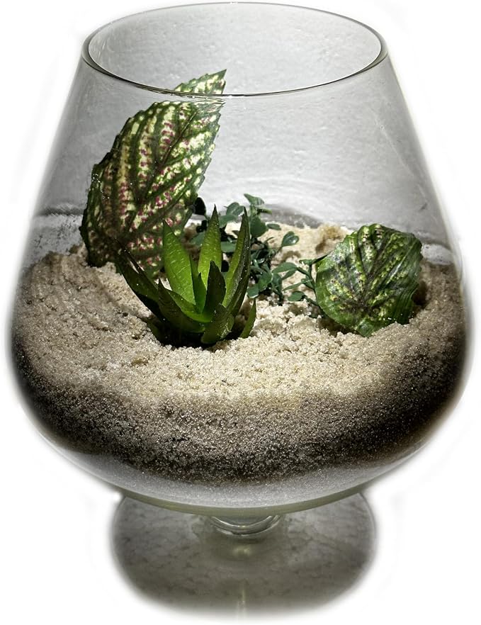 3 Pounds Natural Decorative Real Sand - Image 3