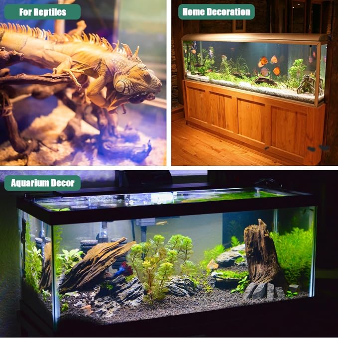 LYPHARD AQUARIUMS Driftwood for Aquarium, 2 Pieces 14-18 Inches Large Natural - Image 6