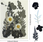 Woohome 4 Pack Dried Flowers for Resin Molds - Image 7