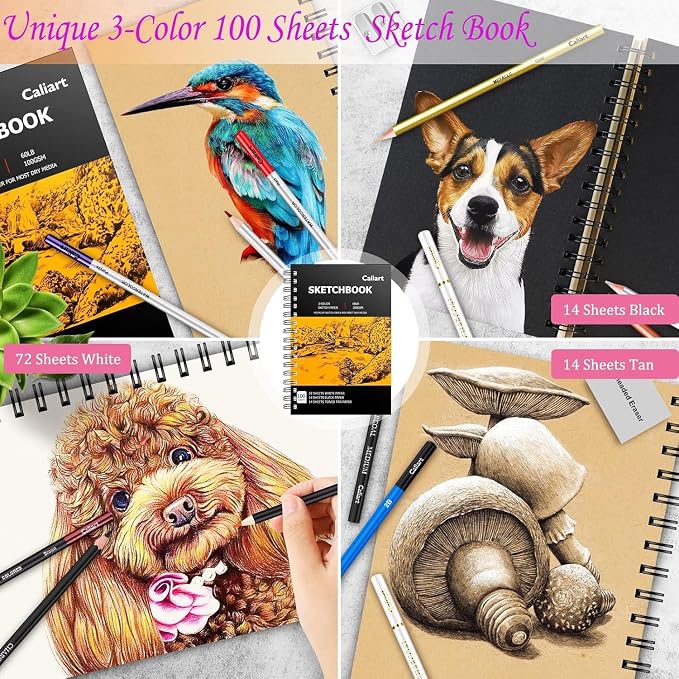 Caliart 176PCS Art Supplies Sketching Kit, 100 Sheets 3-Color Sketch Book | - Image 2