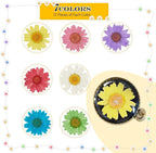 Nuanchu 84 Pcs Pressed Flowers Real Dried Daisies Colorful Pressed Daisy - Image 2