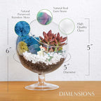 Creations by Nathalie DIY 6" Chalice Terrarium Kit Build Your Own Glass - Image 4