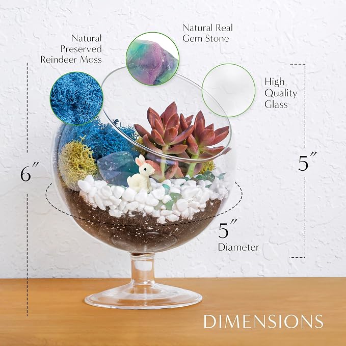 Creations by Nathalie DIY 6" Chalice Terrarium Kit Build Your Own Glass - Image 4