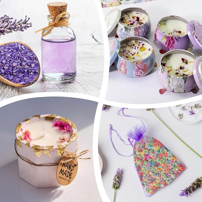 420Pcs Dried Flower for Crafts, Mini Dried Flowers for Resin, Tiny Natural Real - Image 6
