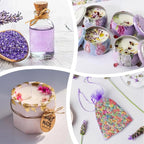 420Pcs Dried Flower for Crafts, Mini Dried Flowers for Resin, Tiny Natural Real - Image 6