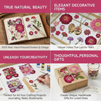 Dried Pressed Flowers for Resin | Real Pressed Flowers Dry Leaves Bulk Natural - Image 5
