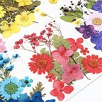 75 Pcs Red Dried Flowers Real Natural Pressed Leave Petals - Image 3