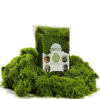 USMOLA 3.5OZ Fake Moss for Plants Indoor by USMOLA