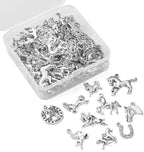 DanLingJewelry 100Pcs 10 Styles Antique Silver Horse & Horseshoe Animal Charms - Image 8