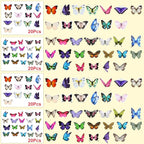 Fabbay 712 Pcs Dried Pressed for Resin - Image 4