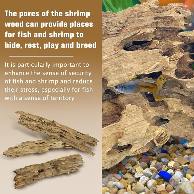 PINVNBY Natural Driftwood for Aquarium Large Reptile Terrarium Decor - Image 4