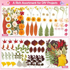 481 PCS Pressed Flowers for Crafts, Real Dried Pressed Flowers Nature Dry - Image 5