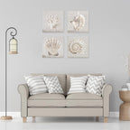 JAPO ART White Sea Shells Pictures Coral Wall Decor Beach Canvas Wall Art - Image 5