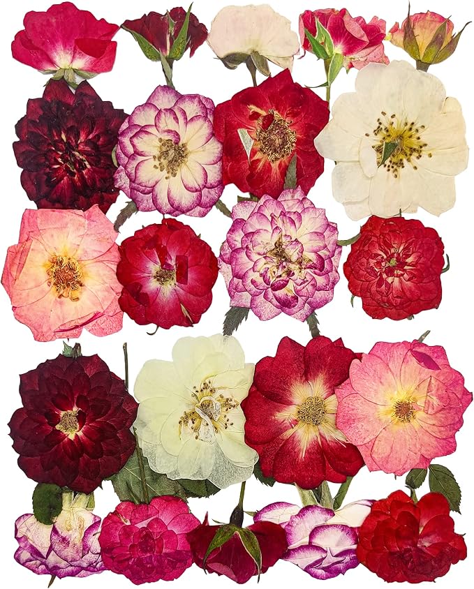 Rose Pressed Flowers for Crafts, TrendCart Real Natural Dry Pressed Flowers for by Unknown