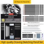 PANDAFLY Drawing Sketching Pencil Set, 22 Piece Pro Art Pencil Kit - Image 2