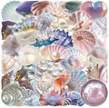 50PCS Sea Shell Stickers Aesthetic PET Transparent Conch Sticker Clamshell by Unknown