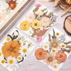90pcs Boho Pressed Flowers Bulk, Vintage Dried Flower Leaves, Natural Fall - Image 3