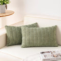 Aegero Pack of 2 Corduroy Decorative Throw Pillow Covers 12x20 InchSoft Boho by Unknown