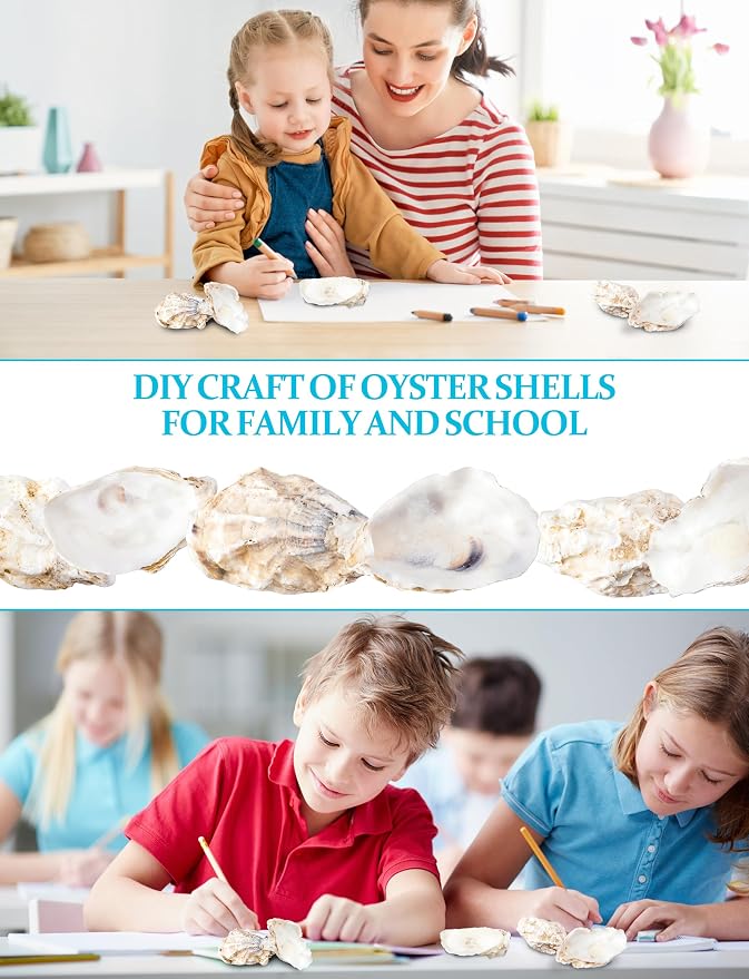 10Pcs Oyster Shells for Crafts， 3"-4" Large Oyster Shell for Crafts，Oyster - Image 2