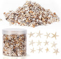 WEOXPR 2000 Pcs Tiny Sea Shells & Starfish by WEOXPR