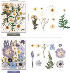 150PCS Pressed Dried Flowers Dry Leaves - Image 3