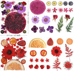 75Pcs Pressed Dried Flowers Fruits - Image 5