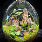 Natural Rocks Dragon Stone 1-2.5 Inches Decorative Rocks - Image 6