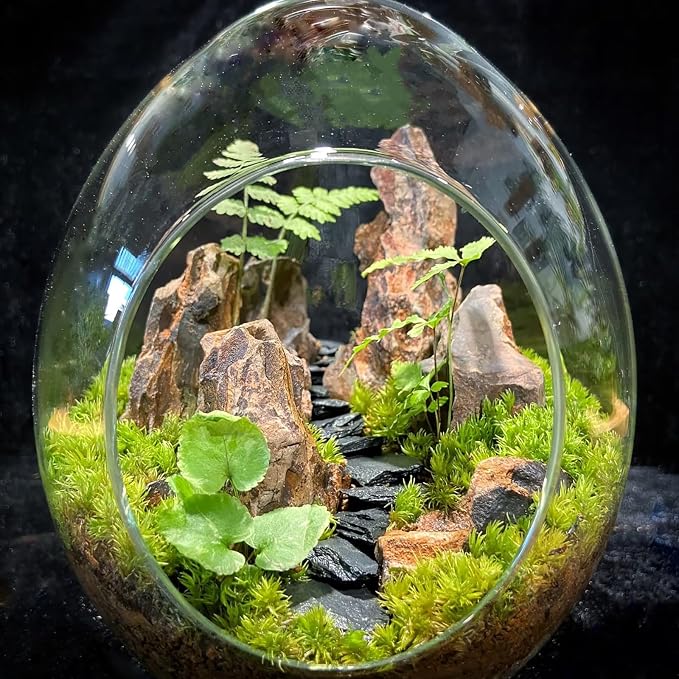 Natural Rocks Dragon Stone 1-2.5 Inches Decorative Stones - Image 6