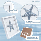 Tide and Tales 3D Starfish Wall Art Coastal Theme Wall Hanging Decoration - Image 5