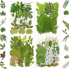 MIKIYA 84Pcs Pressed Dried Leaves by MIKIYA