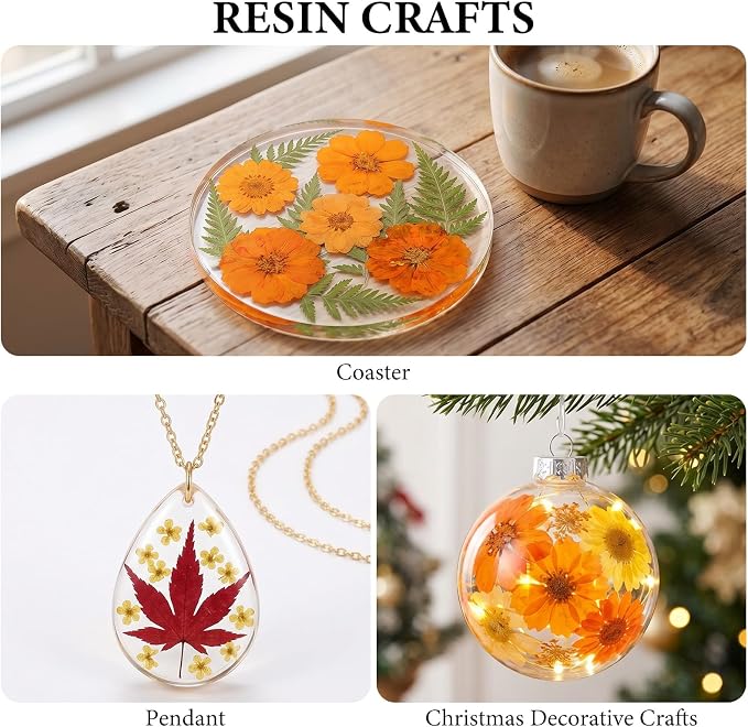 NESCCI 277 Pcs Autumn Dried Flowers - Image 7