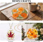NESCCI 277 Pcs Autumn Dried Flowers - Image 7