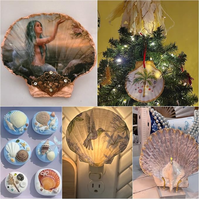 20PCS Large Natural Scallop Shells, DIY Painting, Baking and Beach Wedding - Image 7