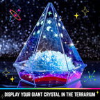 Original Stationery Starry Night Giant Crystal Growing Terrarium Kit - Image 3