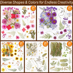 Dried Pressed Flowers for Resin, Real Pressed Flowers Dry Leaves Bulk Natural - Image 3