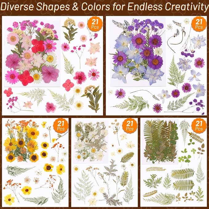 Dried Pressed Flowers for Resin, Real Pressed Flowers Dry Leaves Bulk Natural - Image 3