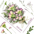 10+ Types Dried Pressed Flowers - Image 2