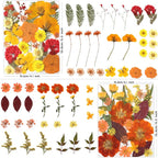 LUXEEASE 120P Yellow Orange Red Dried Pressed Flowers | Warm cozy gradient - Image 2