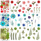 MIKIYA 182Pcs Dried Pressed Flowers - Image 7