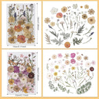 Nuanchu 200 Pcs Pressed Flowers Bulk Dried Flower - Image 4