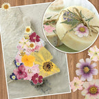 Nuanchu Dried Pressed Flowers for Crafts Resin Real Flat Dried Flowers Leaves - Image 7