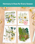 Dried Flowers, Resiners 100Pcs Pressed Flowers - Image 2
