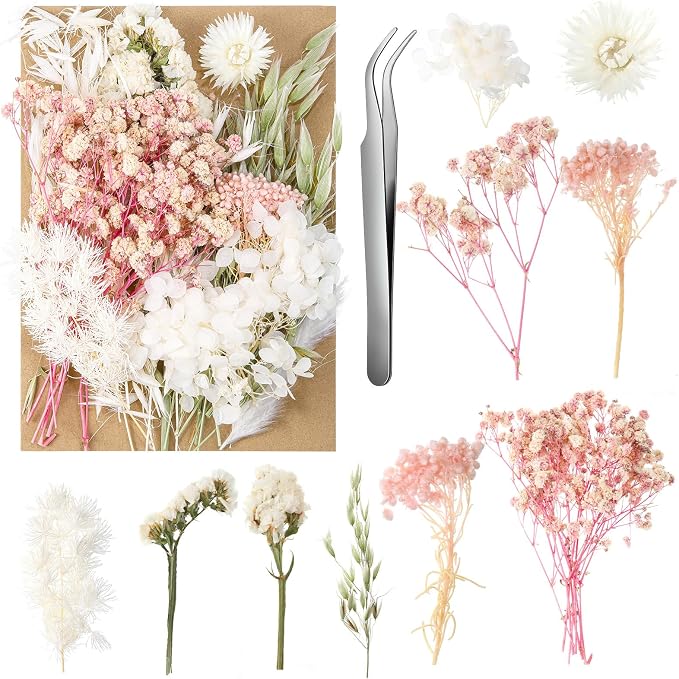 Real Dried Flowers, Natural Dry Flowers Mixed Natural Pressed Flowers Flores by auroray