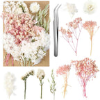 Real Dried Flowers, Natural Dry Flowers Mixed Natural Pressed Flowers Flores by auroray