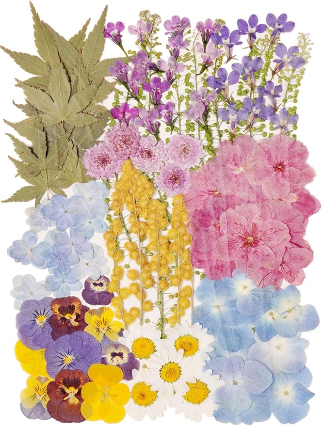 100 PCS Real Dried Pressed Flowers Leaves Natural Plant Herbarium by AHTONG